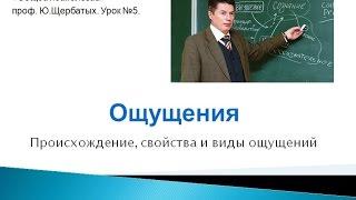 Ощущение (Психология ощущений)