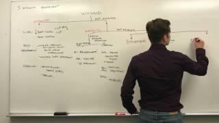 3. Wound Management and Choosing Dressings