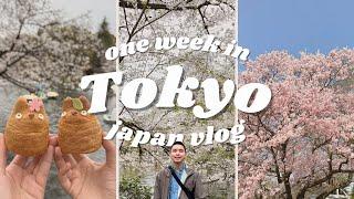 JAPAN VLOG  Tokyo in 7 days during Cherry Blossom Season