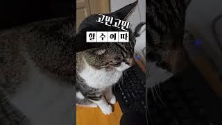 쇼오츠가!!!!