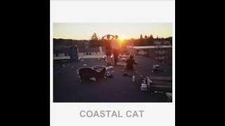 Tez Cadey - Coastal cat