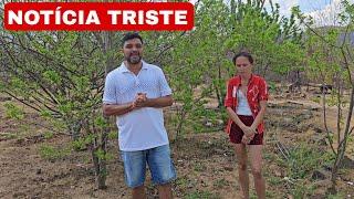 RAQUEL E ALEX A FALTA DE AGUA E UMA TRISTE NOTÍCIA | PERFURAÇÃO DO POÇO