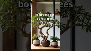 Top 3 indoor bonsai trees!  #bonsaitree #indoorbonsai #bonsaiideas #bonsai  #homedecor #motivation