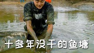 【戶外捕魚vlog】包下一口十多年沒幹過的魚塘，約小飛哥一起抓魚比試，沒想到...#三農#抓魚