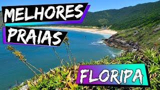 As 10 Melhores Praias de Floripa (Praias em Florianópolis)