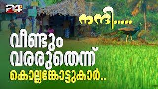 കൊല്ലങ്കോട് ഗ്രാമത്തിന്റെ ഭംഗി പാട്ടായി; സഞ്ചാരികളുടെ ഒഴുക്കിൽ നാട്ടുകാർക്ക് ആശങ്ക