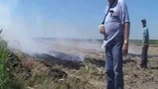 FIRELINE- EXPLANATION/DEMO; ITS USE IN SUGAR CANE FARMING