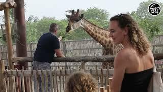 Inside look: Dubai Safari park