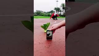 Chinese Photography Tips 2022, Creative Photography Ideas, Photograph Trick️ #shorts #TikToks