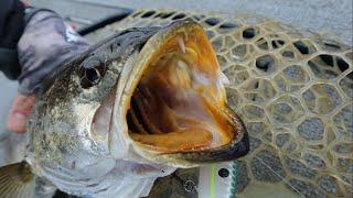 2.5 Hours of Rock Dam Speckled Trout | Hopedale, Louisiana