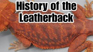 Bearded Dragon History: Leatherbacks