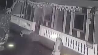 Leopard vs pitbull. Leopard killed pittbull straight in a house