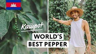 We Tried World's Best Pepper (and got stuck in a village )