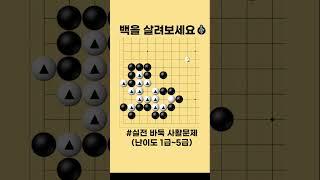 백을 절묘한 수순으로 살려보세요 #바둑 #사활 #바둑강좌