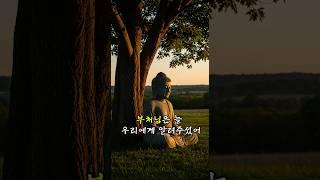 부처님말씀 - “하루 끝, 마음을 비추는 말씀” #부처님말씀 #명언 #감성 #명상