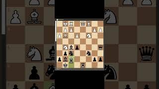 GEORGE GABRIEL GRIGORE VS ERWIN L'AMI (2010 YR.)