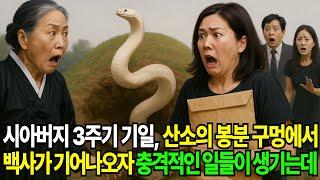 시아버지 3주기 기일, 산소의 봉분 구멍에서 백사가 기어나오자 충격적인 일들이 생기는데...