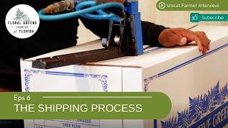 Uncut Farmer Interview | The Shipping Process