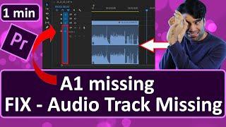 Premiere Pro Audio Track Missing - FIX