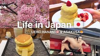 [Vlog] Daily life in Japan,  Ueno, Asakusa, Cherry blossom Sakura 2025, pancake, spring in Tokyo