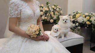 루퐁이에게 새로운 가족이 생겼어요!