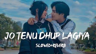 Jo Tenu Dhup Lagiya Song [ Hindi Lo-fi song ] Shanto Lofi |