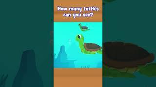 Can you count the number of turtles? #kiddopia #madeforkids #preschoolathome #homeschooling