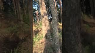 Новое крепление GoPro на шлеме! #mogu_v_enduro #эндуро #экстрим #питбайк #мото #dirtbike #enduro