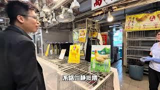 《北上買餸熱潮》荃灣街市驚現50空檔 人流超冷清，楊屋道街市$10買到三個美國橙！！！