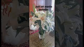 #flower #flowerlover #flowers #flowerlovers #berkelas #shorts #shortvideo #lily