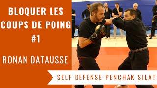 COMMENT BLOQUER LES COUPS DE POING (SELF DEFENSE - PENCHAK SILAT) - Vol. 1