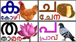 Learn Malayalam Consonants(വ്യഞ്ജനം, vyañjanam)|Malayalam Alphabet Malayalam Aksharamala|ക ഖ ഗ ഘ ങ