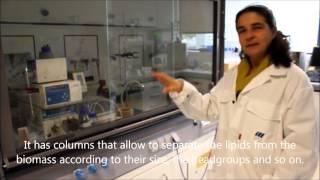 Step-by-step to a neutron experiment with biological matter
