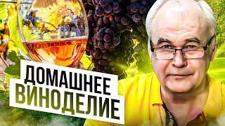 Домашнее виноделие. Болгарская "изюминка" для домашнего вина. DIY Alcohol