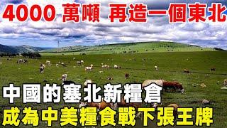 4000萬噸再造一個東北，中國的塞北新糧倉，成為中美糧食戰下張王牌#超級工程 #科普 #建造 #中國基建