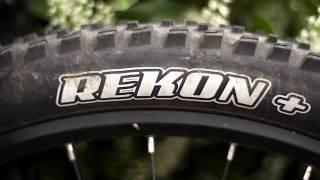 Maxxis Rekon and Ikon copertoni mtb PLUS 650b+