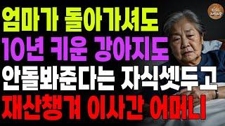 "이참에 버리세요." 자식이 셋인데 엄마 죽으면 노령강아지 안돌봐주겠다길래 재산챙겨 떠난 어머니 | 오디오북 | 사연라디오 | 노후 | 부모자식 | 인생이야기