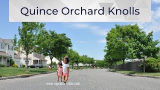 Living in Gaithersburg - Gaithersburg MD Homes For Sale - Quince Orchard Knolls