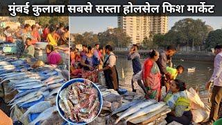 Sassoon Dock Fish Market Mumbai | Colaba Fish Market In Mumbai | Colaba Wholesale Fish Market