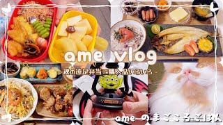 【主婦vlog】長男(4y)遠足弁当/まとめ買い/Amazonセール購入品/おうちごはん ️/食事記録【料理vlog/主婦の日常/育児】