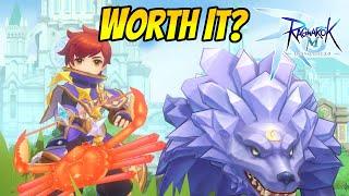 Ragnarok Mobile Eternal Love: Is Worth Investing In Stellar Hunter For PvE?