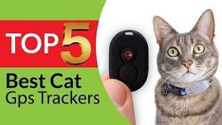 Top 5 Best Cat GPS Trackers of 2025 [We Tested & Reviewed]