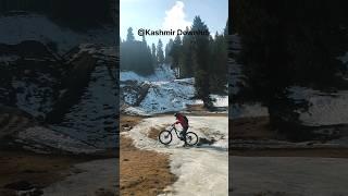 Ice Downhill in Kashmir