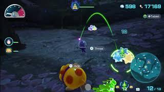 Blossoming Arcadia Fragrant Ravine Night Expedition | Pikmin 4