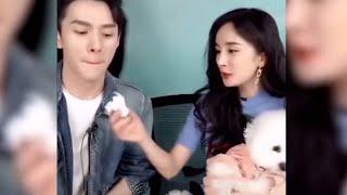 楊幂將李佳琦從頭被懟到尾，闞清子分手後成清醒大師