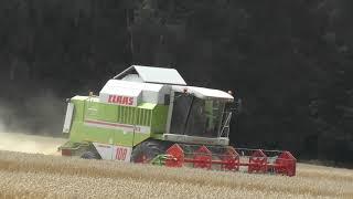 Weizen Dreschen mit Claas Dominator 108 VX oberfränkischen Wunsiedel Juli 2019 nicht neu