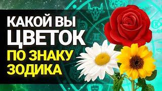 КАКОЙ ВЫ ЦВЕТОК ПО ЗНАКУ ЗОДИАКА? Растение-покровитель по гороскопу | Astrologium