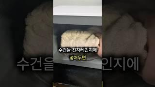 수건을 전자렌지에 넣으면 생기는 꿀팁