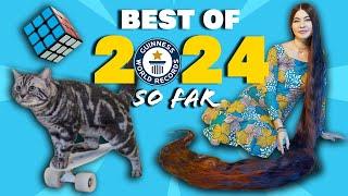 BEST WORLD RECORDS of 2024... so far! | Guinness World Records