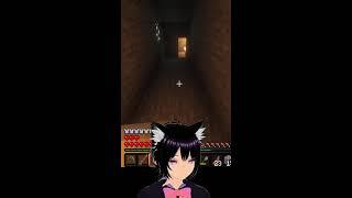 Minecraft Catboy #2 Colonialism a'la Catboy